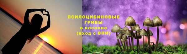 2c-b Балахна