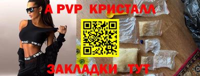 соль ск Бийск