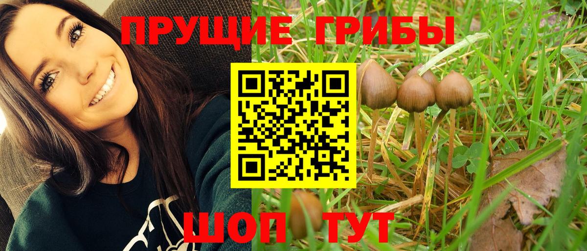 Псилоцибиновые грибы ЛСД  Воскресенск 