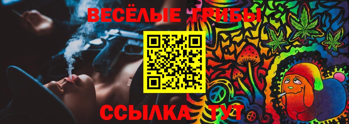 Галлюциногенные грибы Psilocybe Воскресенск